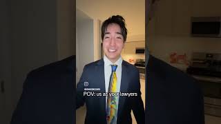 pov us as a lawyers