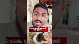 12 ലക്ഷം രൂപ മുടക്കി ഒരു മനുഷ്യൻ നായയായി.A man became a dog at a cost of Rs.12 lakh.#dog #shorts