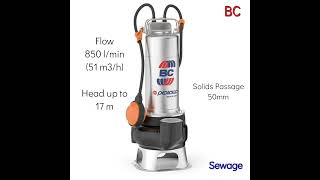 Pedrollo Sewage Pumps