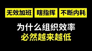 从员工怒怼领导的爽剧解析职场：无能者能上位、无效加班为什么会是普遍现象？