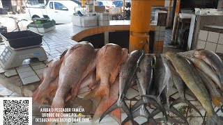 MOSTRANDO PREÇO DOS PEIXES NA BRASILIA