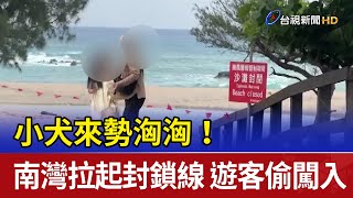 小犬來勢洶洶！南灣拉起封鎖線 遊客偷闖入