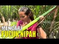 JEJAK PETUALANG | BERKAH POHON SIALANG (25/11/20) Part 3