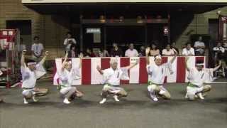 なにわ連 2014 よんでん阿波踊り広場(8/13)