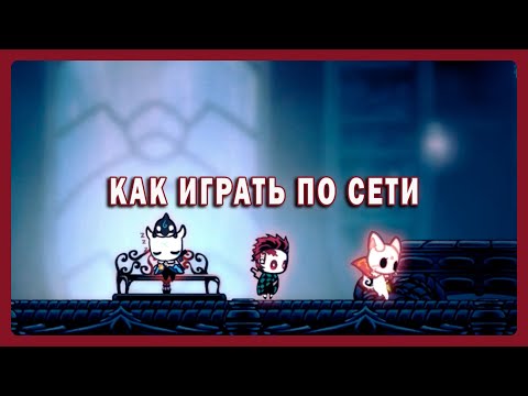 Полный гайд по мультиплееру в hollow knight гайд по скинам