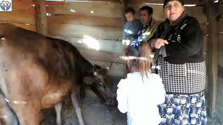 Տավուշի մարզ գյուղ Զորական// Tavush region village Zorakan