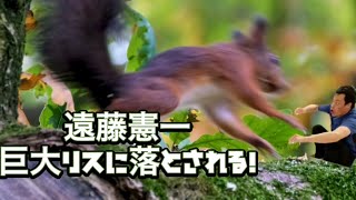 3連発で落っこちる遠藤憲一。衝撃映像かもしれない