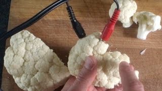 Cauliflower Braingasm - You Suck at Cooking (episode 36)