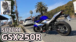 【試乗】125cc乗りが『SUZUKI GSX250R』のレンタルバイクに乗ってインプレしてみた