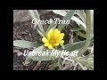 Grace Tran - Unbreak My Heart Cover