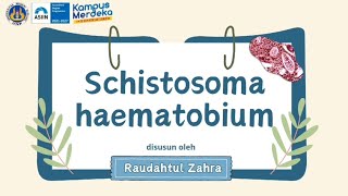 Tugas Projek Parasitologi-Raudahtul Zahra