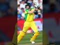 🥹 virat kohli troll australia fans 😥 shortsfeed cricketnews indvsaus cricketlover viratkohli