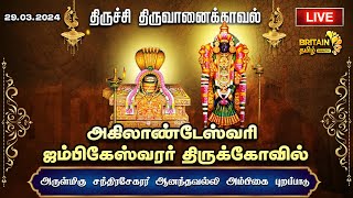 LIVE - திருவானைக்காவல் அகிலாண்டேஸ்வரி ஜம்பிகேஸ்வரர் கோவில் சந்திரசேகரர் ஆனந்தவல்லி அம்பிகை புறப்பாடு