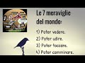 Le 7 meraviglie del mondo | aforismi sulla vita | citazioni e frasi belle @justfunnyworld