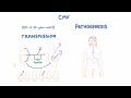 cmv virology epidemiology and pathophysiology