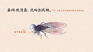 【一起读诗】虞世南 蝉