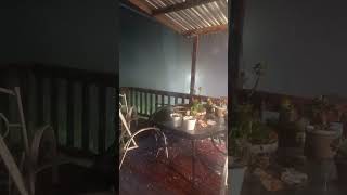 Balgowan today extremely heavy rain 5/feb/3024 | heavy downpour storm in Balgowan KwaZulu-Natal SA