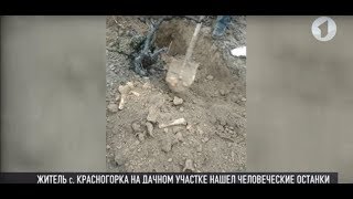 В Красногорке нашли останки времен Великой Отечественной