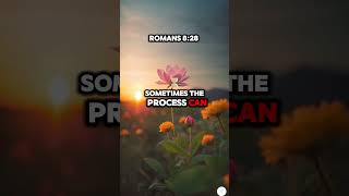 This Bible Verse Will Change Your Day  Romans 828 Explained  Trust God's Plan for Your Life