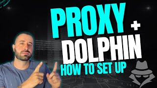 How to set up a Proxy in Dolphin Quick Tutorial on Using Proxy in Dolphin - Contingency 2024