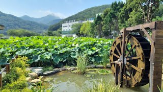 (거제) 남파랑길 25코스 (탑포마을 ~ 거제파출소)