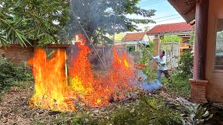 We TRY to control the fire, not let it spread like  the CALIFORNIA DISASTER | Clean up Everything