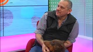 CRIADERO NEODOBERMANS -A MEDIA MAĆANA - TENENCIA RESPONSABLE