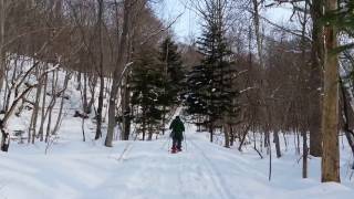 2017-03-01--北海道札幌-野幌森林公園雪鞋健行2