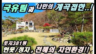 [국유림과 나만의 천혜의 맑은계곡!!] 토지381평/철근콘크리트구조/따스한 정남향의 연못있는 집/정자/양평전원주택 전문부동산 [더  24186]