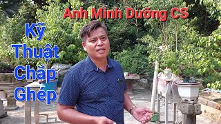 Anh MINH DƯỠNG CS KỸ về kỹ thuật ĐẮP GHÉP anh đang làm như thế nào ?