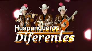 Huapangueros Diferentes (Quick Mixx) - Alexandro Vega Dj