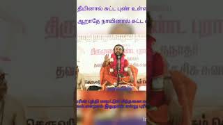 #அண்ணாமலையார் #திருவாசகம் #திருக்கழுக்குன்றம் #தாமோதரன் #நமச்சிவாய #siva #mangalanathar #சிவ #கைலாய