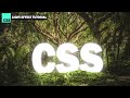 Cool CSS Text Light Effect 5 minutes Tutorial
