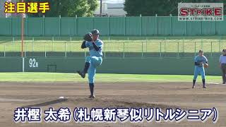 【注目選手】井樫太希（札幌新琴似リトルシニア）