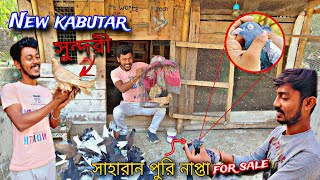 সুন্দরী পায়রা কিনে এনেছি😁 সাহারান পুরি নাপ্তা বিক্রি করবে সায়ন ভাই 😲#myworld #petsvlog