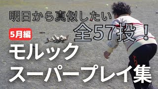 【モルックスーパープレイ集】明日から真似したい全57投！すべてを極めれば勝利への道は近い！5月のスーパープレイ集やでえ編#モルック