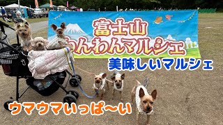 富士山わんわんマルシェでとにかく食べる！