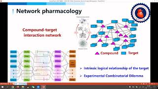 Systematic investigation of the multi-scale mechanisms of herbal medicine on treating ventricular