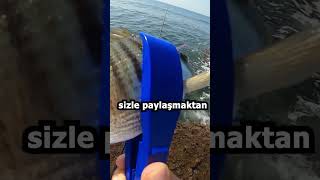 Kıyıdan LRF At Çek Kıyı Balık Avı / Micro Jigging Sargoz Balık Avı