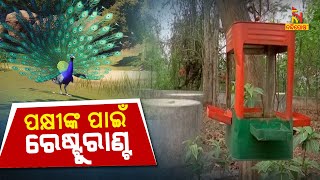 ପକ୍ଷୀଙ୍କ ପାଇଁ ଜଙ୍ଗଲରେ ରେଷ୍ଟୁରାଣ୍ଟ, ଖାଇବାକୁ ଆସୁଛନ୍ତି ୧୦ରୁ ଅଧିକ ପ୍ରକାରର ପକ୍ଷୀ। NandighoshaTV