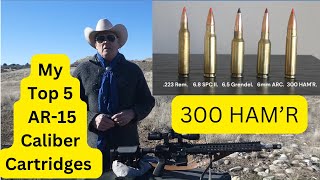 300 HAM'R by Wilson Combat / My 1 of 5 Favorite Cartridges in the AR-15 Platform