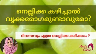 നെല്ലിക്ക കഴിച്ചാൽ വൃക്കരോഗമുണ്ടാവുമോ? #നെല്ലിക്ക #nellikka