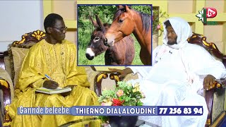 DIALALOULINE dans GANNDE BALEBE