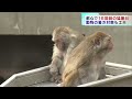 動物園も暑さ対策を工夫！　東京都心で16回目の猛暑日