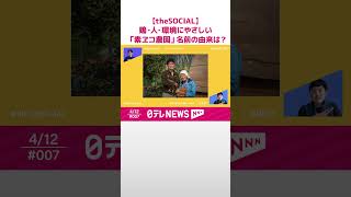 【鶏・人・環境にやさしい養鶏】「もう他の卵には戻れない!?」... こだわり卵が日本の食糧問題を解決！   素ヱコ農園🐔 the SOCIAL season1