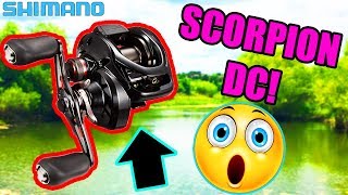 Shimano DC Reel Put To The Test! (Shimano Scorpion DC!) - $300 JDM Reel!