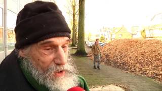 Ongenoegen over bomenkap in Arnhem