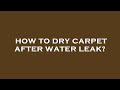 How to dry carpet after water leak?