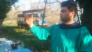 ვიდეო 30. სკაში ნესტის წინააღმდეგ ბრძოლა.