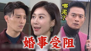 【一家團圓】EP214 心怡媽反對女兒與少強婚事 把少風推下樓復仇計畫被曹慶聽到了│Family Reunion